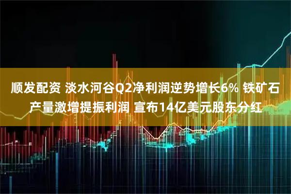 顺发配资 淡水河谷Q2净利润逆势增长6% 铁矿石产量激增提振利润 宣布14亿美元股东分红