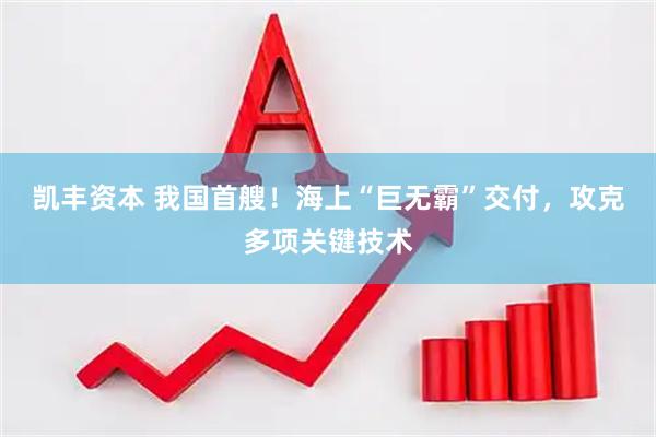 凯丰资本 我国首艘！海上“巨无霸”交付，攻克多项关键技术