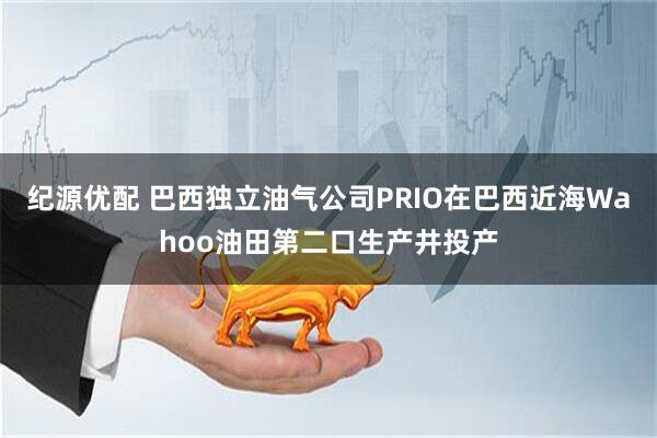 纪源优配 巴西独立油气公司PRIO在巴西近海Wahoo油田第二口生产井投产