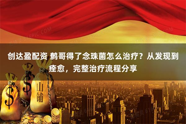 创达盈配资 鹩哥得了念珠菌怎么治疗？从发现到痊愈，完整治疗流程分享