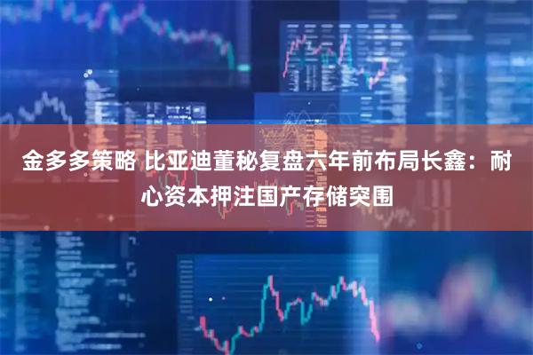 金多多策略 比亚迪董秘复盘六年前布局长鑫：耐心资本押注国产存储突围