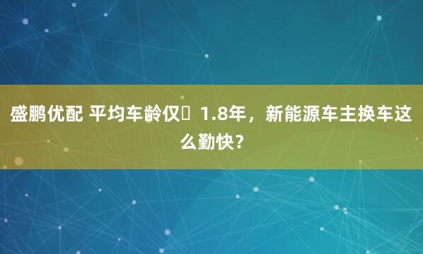 盛鹏优配 平均车龄仅‌1.8年，新能源车主换车这么勤快？